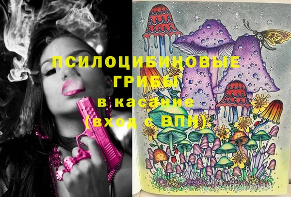 метадон Армянск