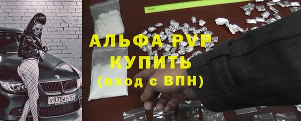 мяу мяу мука Аркадак