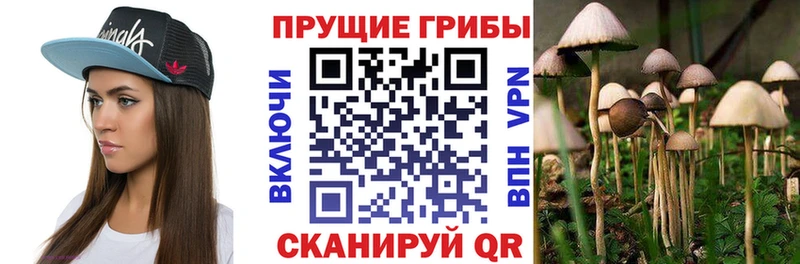Галлюциногенные грибы мицелий Пролетарск